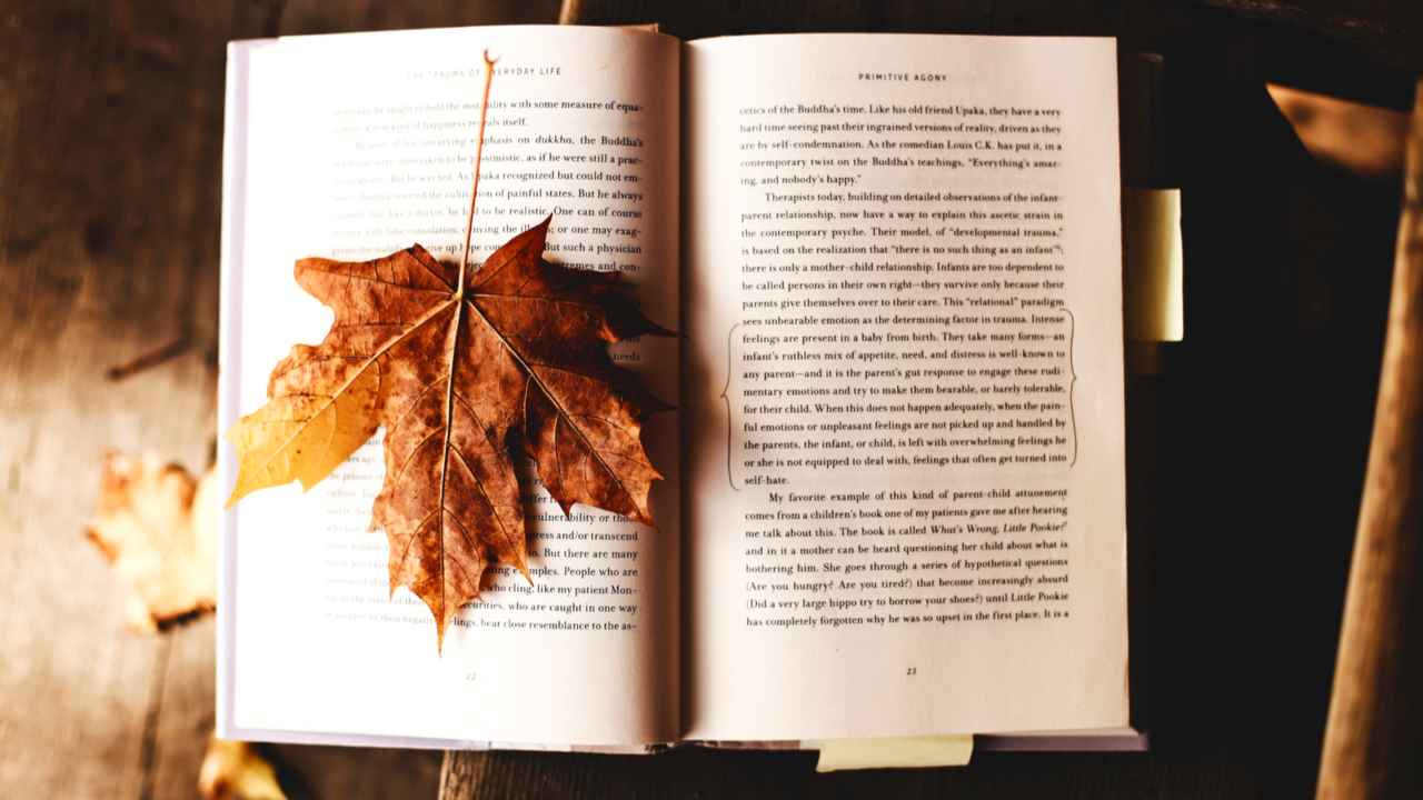 Brown maple leaf on open book