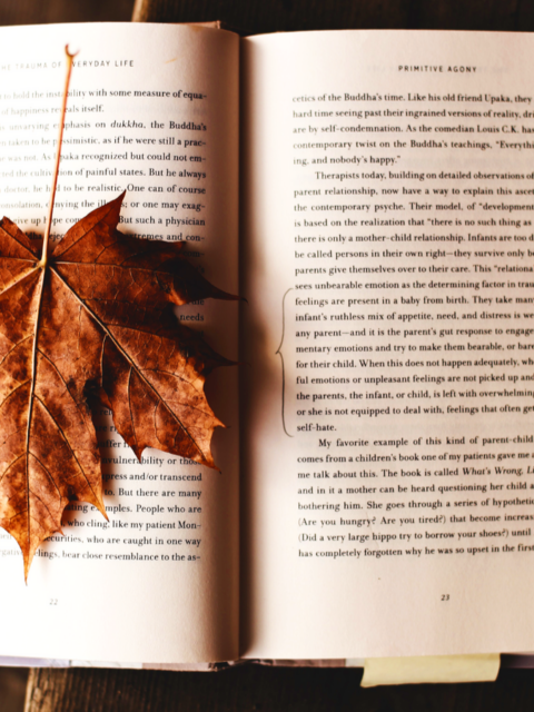 Brown maple leaf on open book