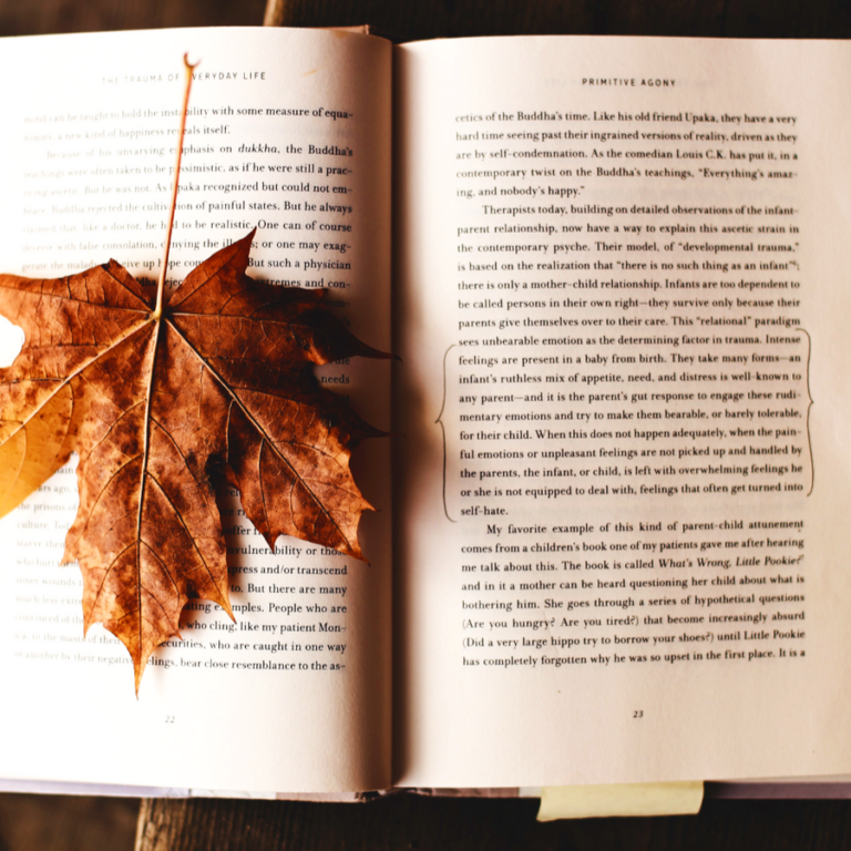 Brown maple leaf on open book