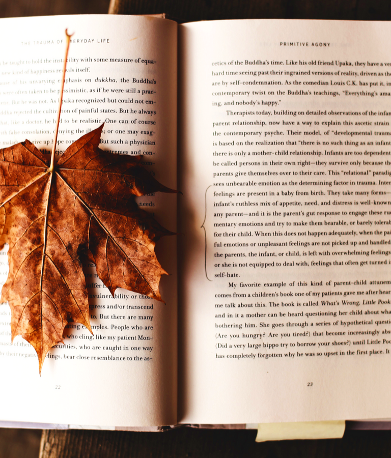 Brown maple leaf on open book