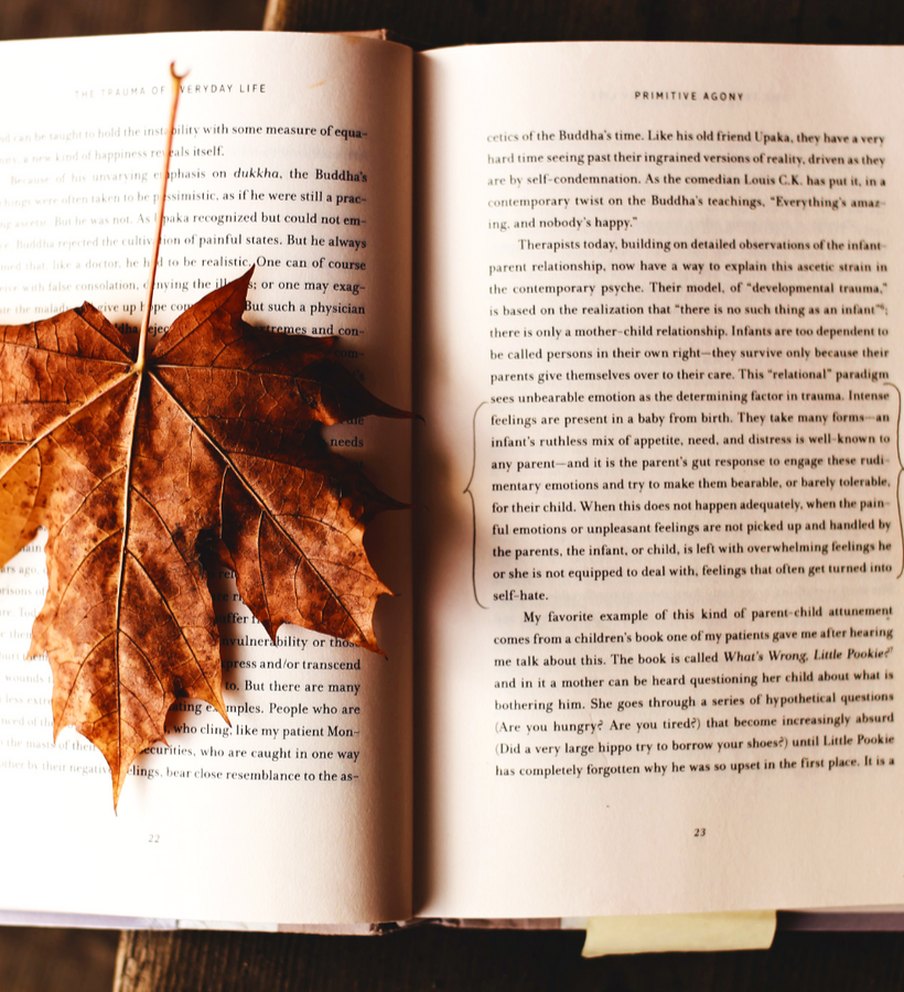 5 Items to Add to Your Spooky Fall Reading List