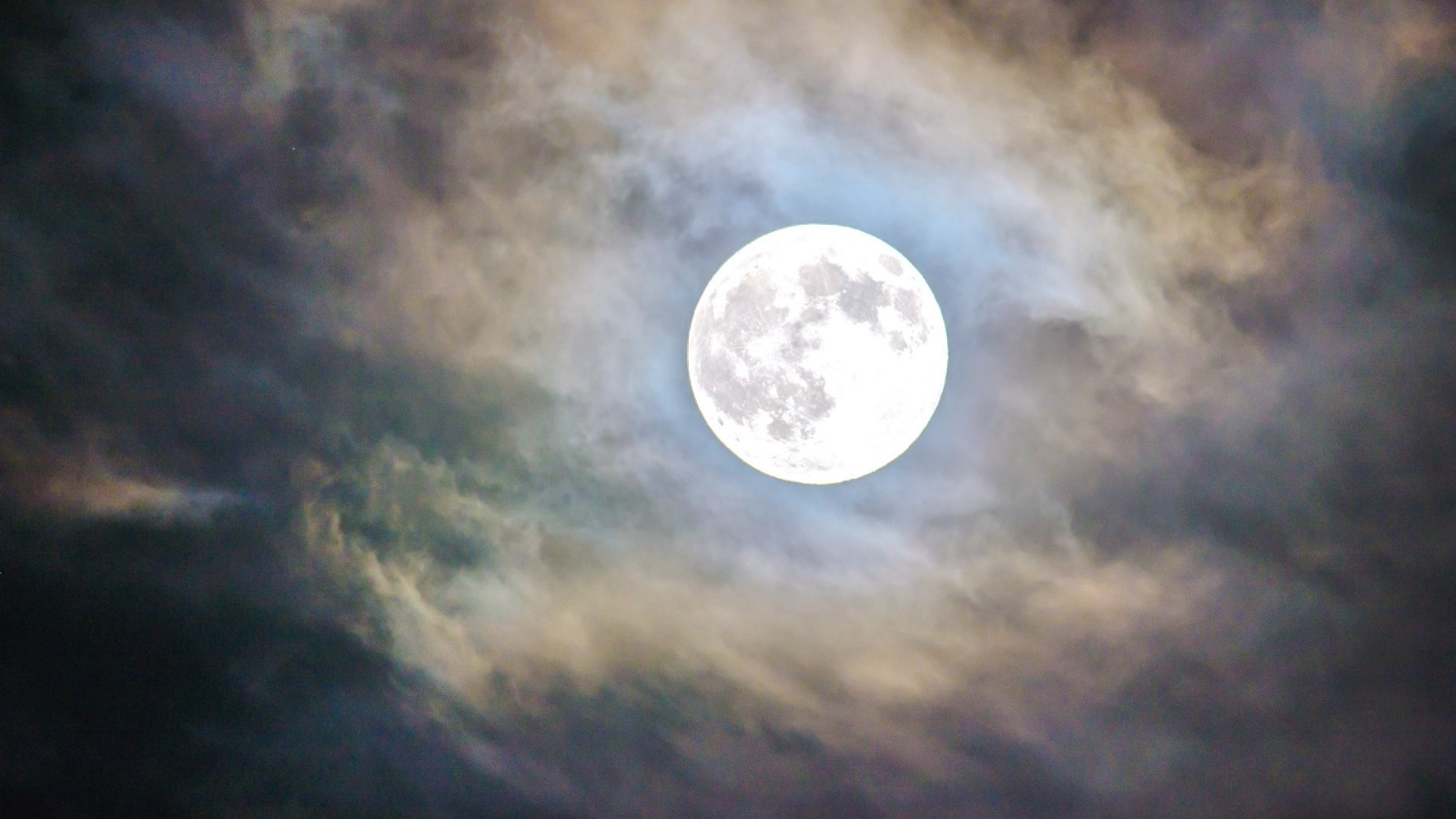 Lunacy, the Full Moon, and Halloween | Anna Elle Liz Lunacy, the Full Moon, and Halloween | Anna Elle Liz